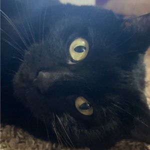 Meet your Posher, Yulia